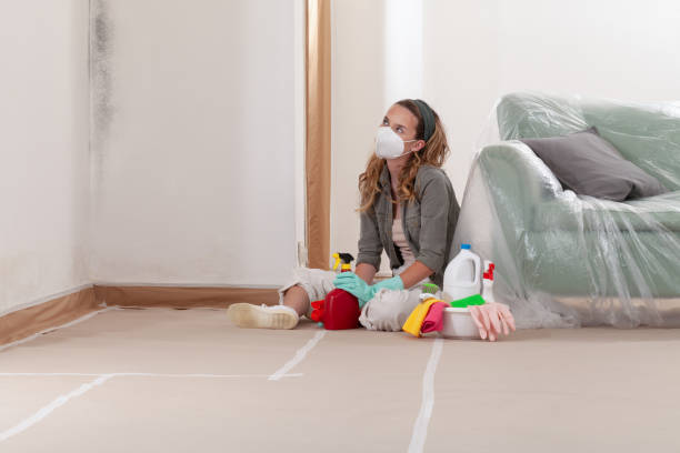 Reliable Mold Removal contractor in Plainfield, IL by Mold Remediation HQ